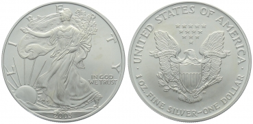 USA 1 Dollar 2003 Silver Eagle - 1 Unze Feinsilber